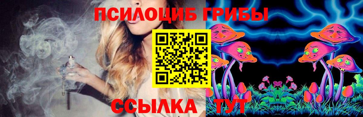 Псилоцибиновые грибы Psilocybine cubensis Югорск