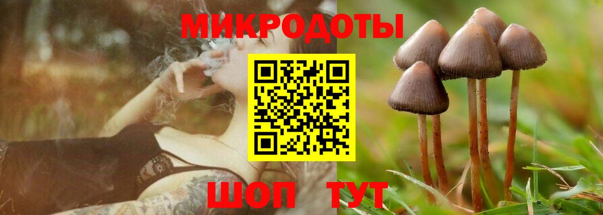 Галлюциногенные грибы мухоморы  Вход с VPN  магазин продажи наркотиков  Югорск 